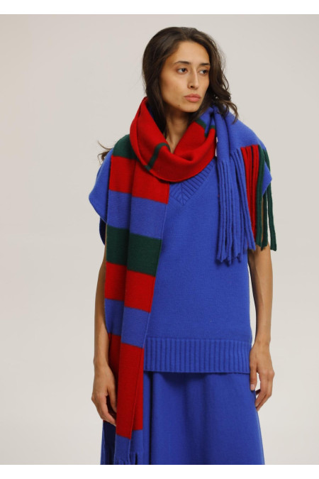 Blue and Red Soft Fringed Scarf